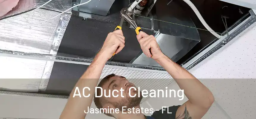 AC Duct Cleaning Jasmine Estates - FL