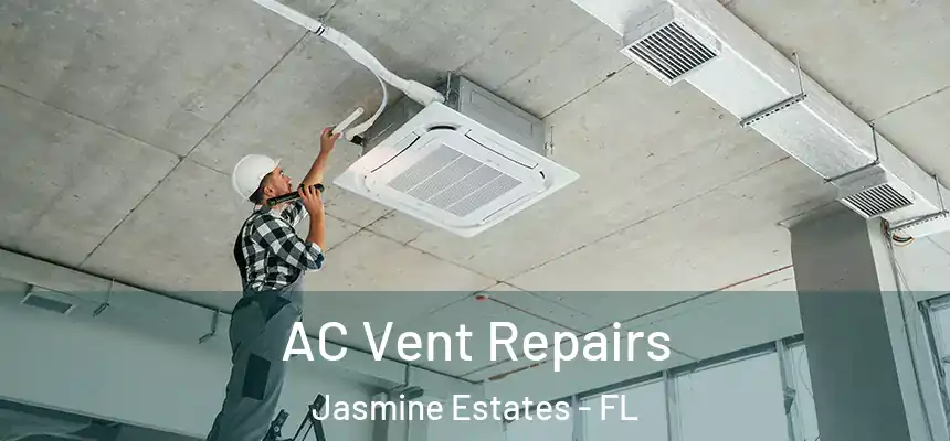 AC Vent Repairs Jasmine Estates - FL