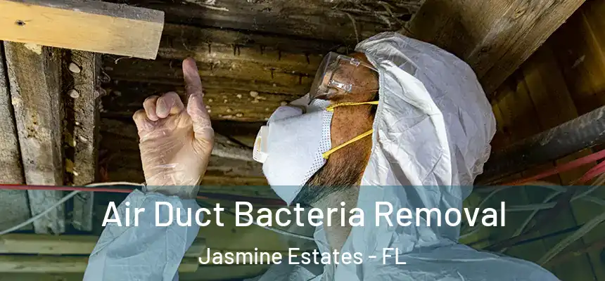 Air Duct Bacteria Removal Jasmine Estates - FL