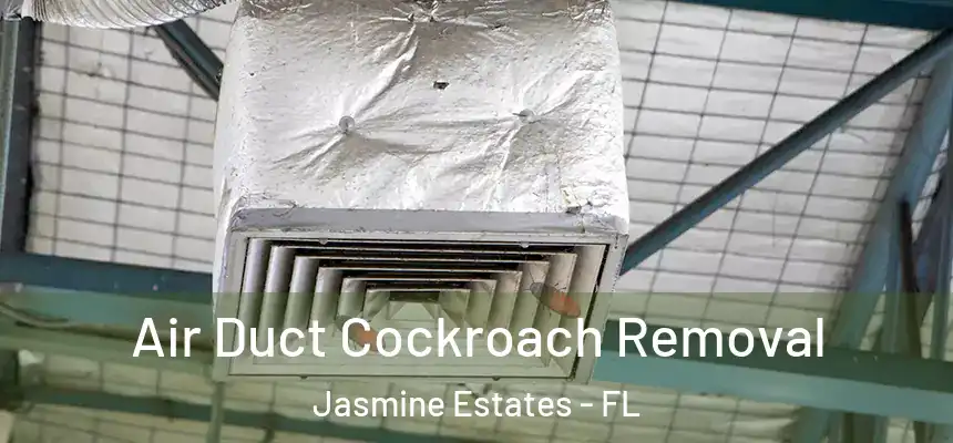  Air Duct Cockroach Removal Jasmine Estates - FL