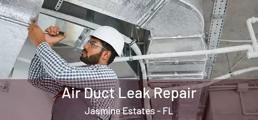 Air Duct Leak Repair Jasmine Estates - FL