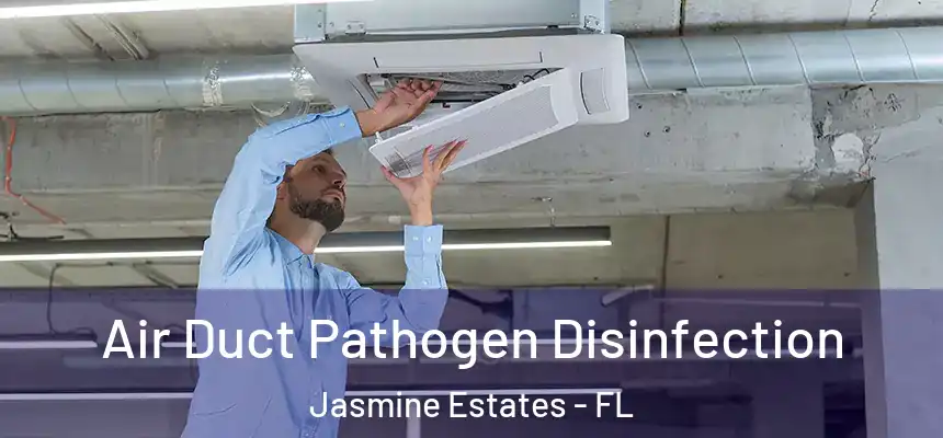 Air Duct Pathogen Disinfection Jasmine Estates - FL