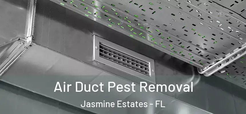  Air Duct Pest Removal Jasmine Estates - FL