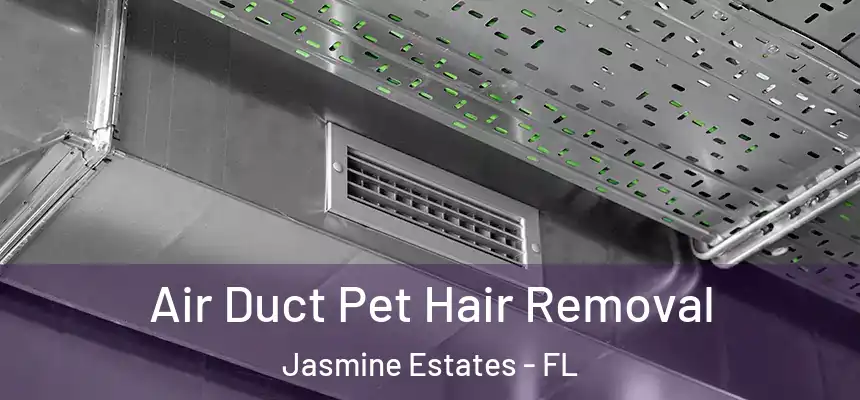 Air Duct Pet Hair Removal Jasmine Estates - FL