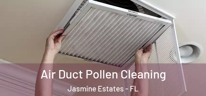 Air Duct Pollen Cleaning Jasmine Estates - FL