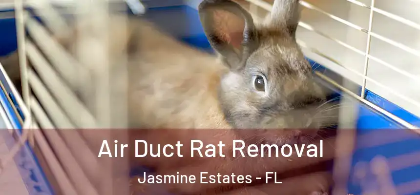 Air Duct Rat Removal Jasmine Estates - FL
