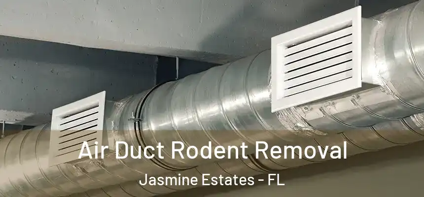  Air Duct Rodent Removal Jasmine Estates - FL