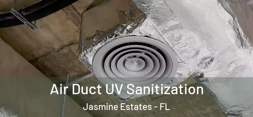 Air Duct UV Sanitization Jasmine Estates - FL