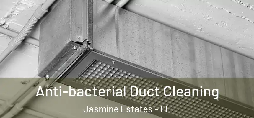  Anti-bacterial Duct Cleaning Jasmine Estates - FL