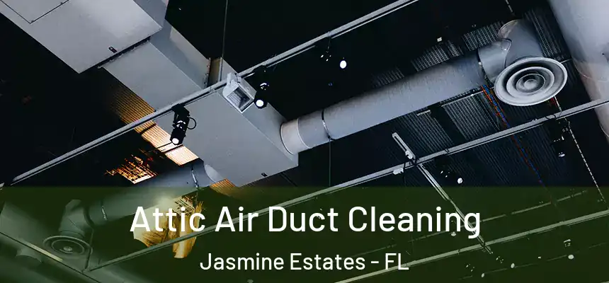 Attic Air Duct Cleaning Jasmine Estates - FL