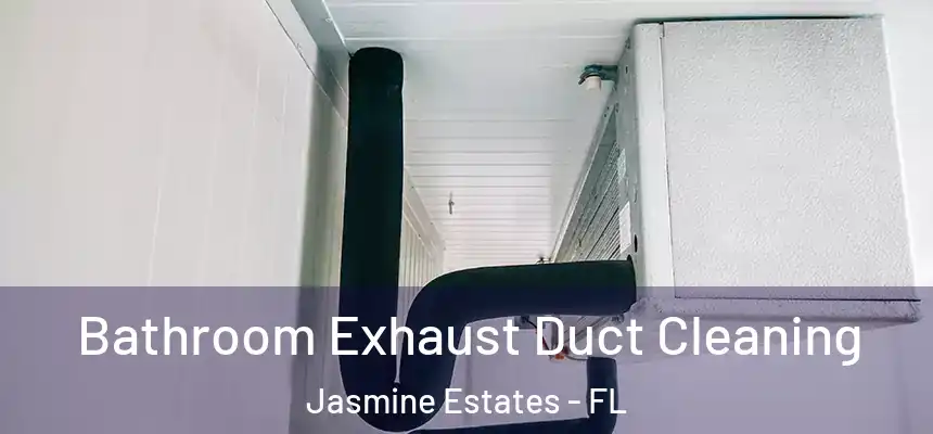 Bathroom Exhaust Duct Cleaning Jasmine Estates - FL