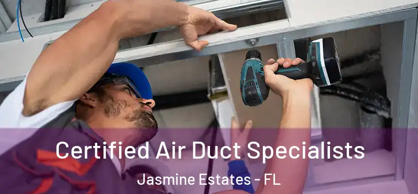 Certified Air Duct Specialists Jasmine Estates - FL
