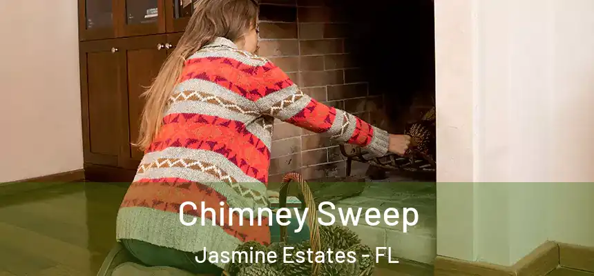 Chimney Sweep Jasmine Estates - FL