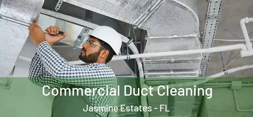 Commercial Duct Cleaning Jasmine Estates - FL