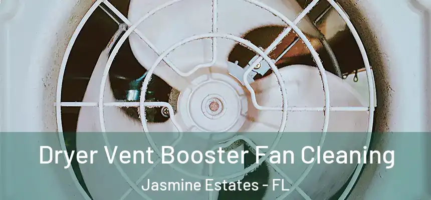 Dryer Vent Booster Fan Cleaning Jasmine Estates - FL