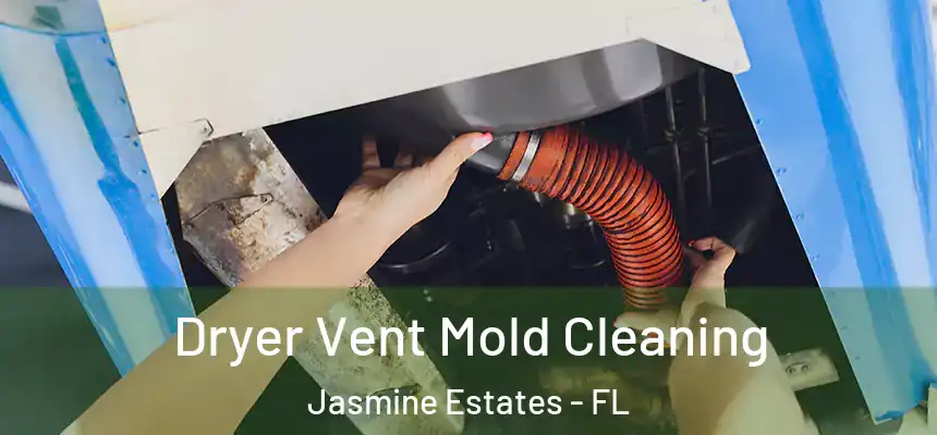 Dryer Vent Mold Cleaning Jasmine Estates - FL