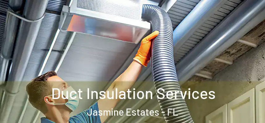 Duct Insulation Services Jasmine Estates - FL