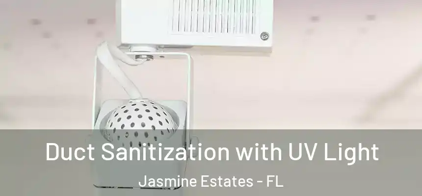 Duct Sanitization with UV Light Jasmine Estates - FL