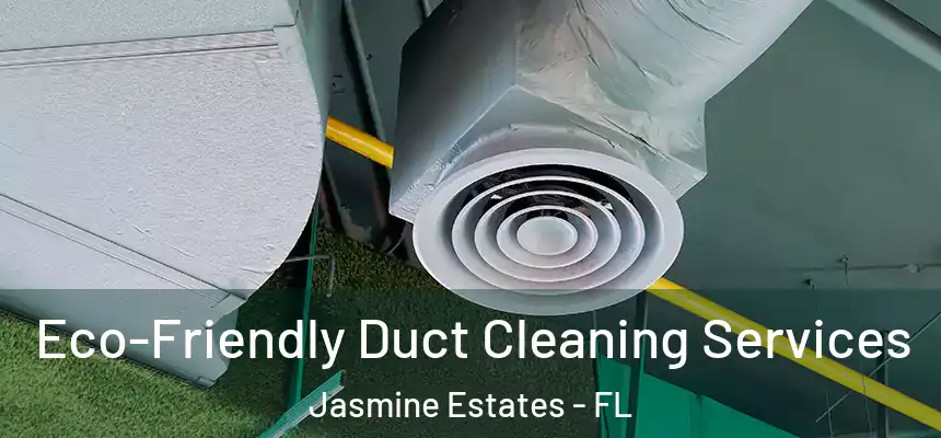  Eco-Friendly Duct Cleaning Services Jasmine Estates - FL