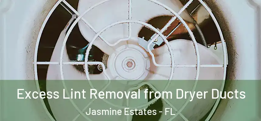 Excess Lint Removal from Dryer Ducts Jasmine Estates - FL