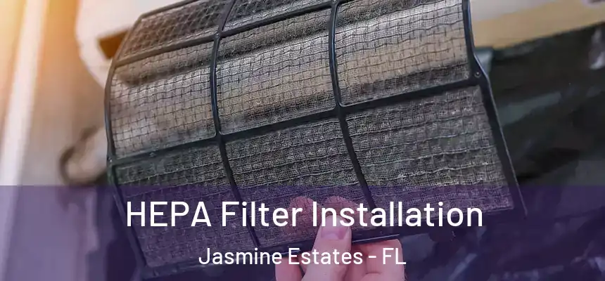 HEPA Filter Installation Jasmine Estates - FL