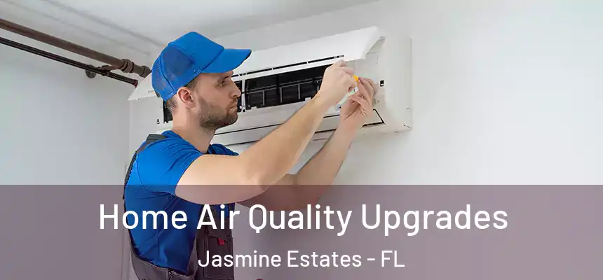 Home Air Quality Upgrades Jasmine Estates - FL