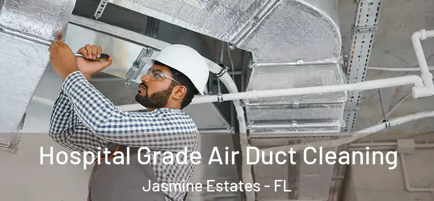 Hospital Grade Air Duct Cleaning Jasmine Estates - FL