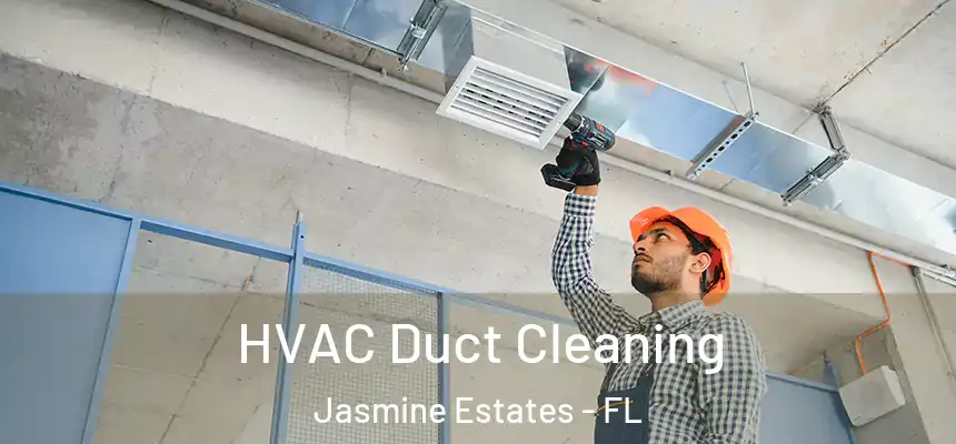 HVAC Duct Cleaning Jasmine Estates - FL