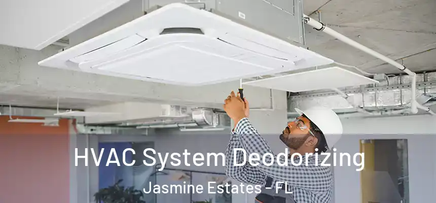 HVAC System Deodorizing Jasmine Estates - FL