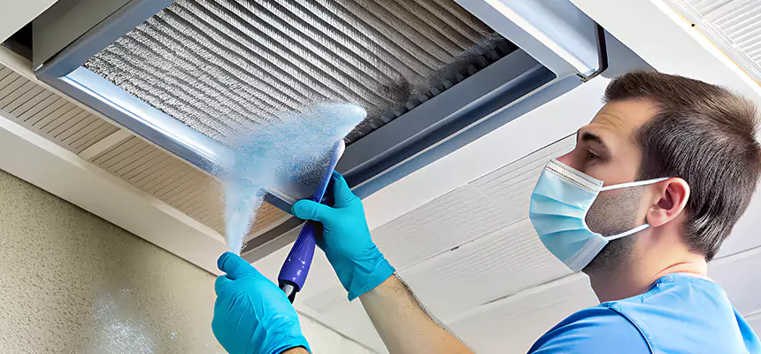Proactive Dryer Vent & Auxiliary Duct Pollen Cleanup in Jasmine Estates, FL
