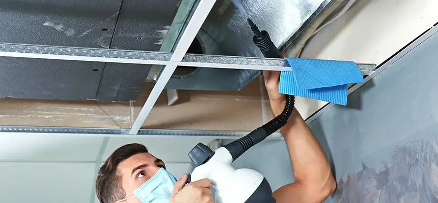 Our Air Duct Rodent Removal Services in Jasmine Estates, FL
