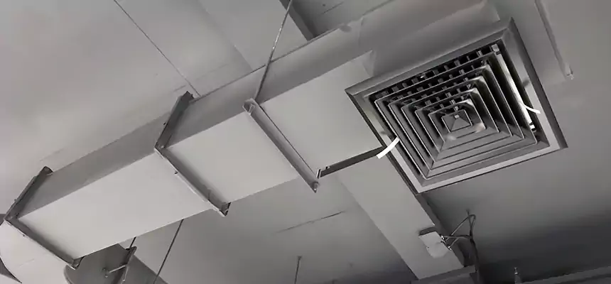 Restorative Allergy Relief Vent Cleaning – Coil, Blower & Housing Detail in Jasmine Estates