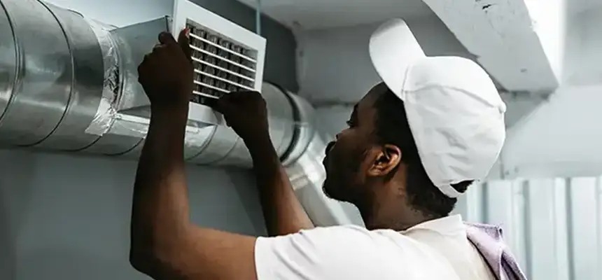 Our Licensed And Insured Cleaners in Jasmine Estates, FL