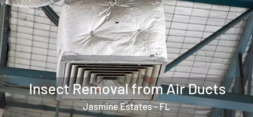 Insect Removal from Air Ducts Jasmine Estates - FL