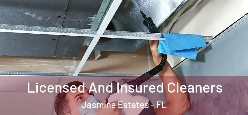 Licensed And Insured Cleaners Jasmine Estates - FL