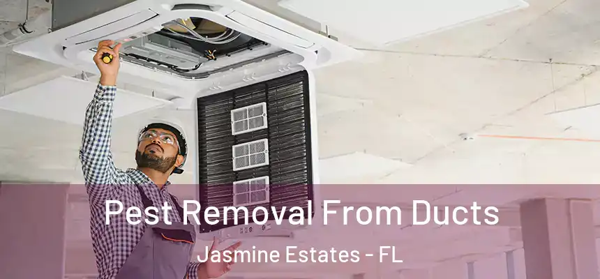 Pest Removal From Ducts Jasmine Estates - FL