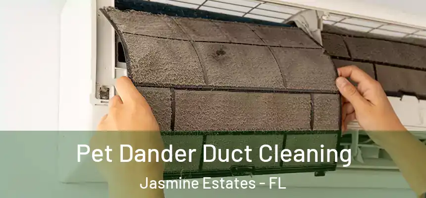 Pet Dander Duct Cleaning Jasmine Estates - FL