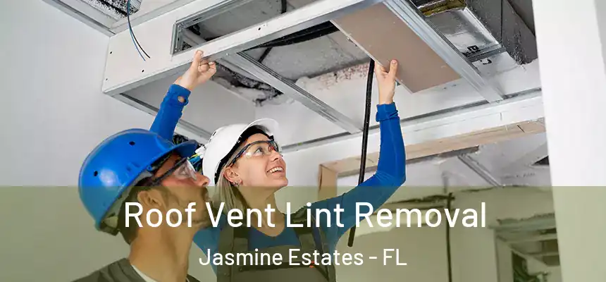 Roof Vent Lint Removal Jasmine Estates - FL