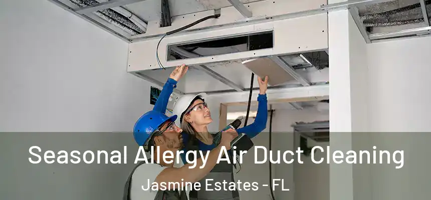 Seasonal Allergy Air Duct Cleaning Jasmine Estates - FL