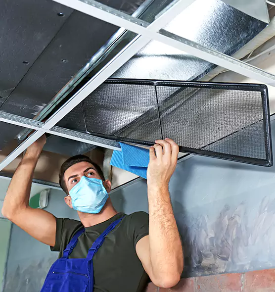 About Air Duct Bacteria Removal in Jasmine Estates