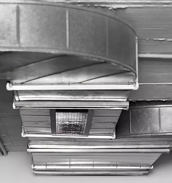 Professional Air Duct Pet Hair Removal in Jasmine Estates, FL