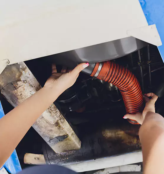 About Air Duct Virus Disinfection in Jasmine Estates, FL