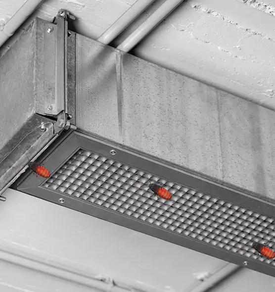 Affordable Insect Removal from Air Ducts in Jasmine Estates, FL