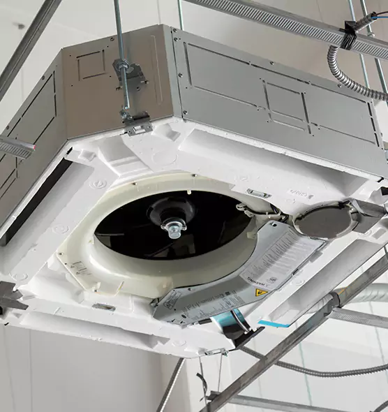 Professional Roof Vent Lint Removal Jasmine Estates, FL