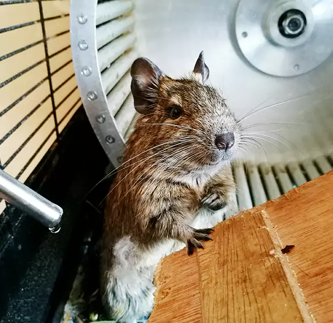 Why Homeowners & Businesses Trust Us Jasmine Estates, FL?