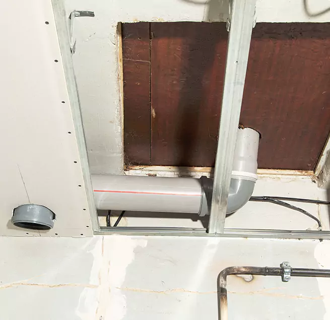 Why Homeowners & Businesses Trust Us in Jasmine Estates, FL?