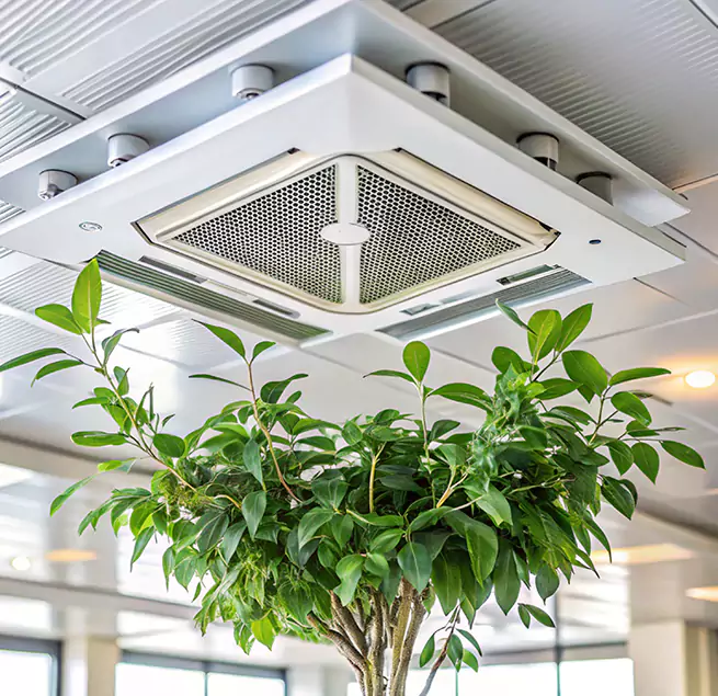 Why Homeowners & Businesses Trust Us in Jasmine Estates, FL?