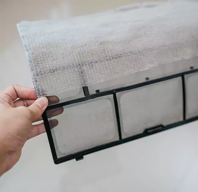 Why Homeowners & Businesses Trust Us in Jasmine Estates, FL?