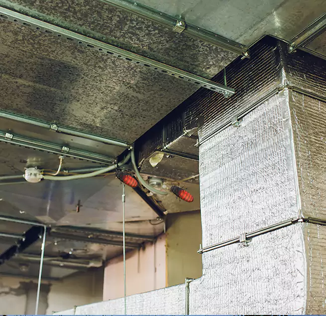 Why Homeowners & Businesses Trust Us Jasmine Estates, FL?