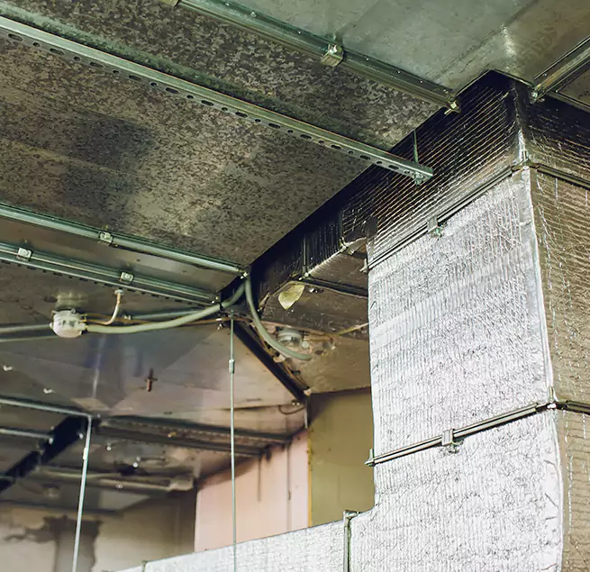 Why Homeowners & Businesses Trust Us in Jasmine Estates, FL?